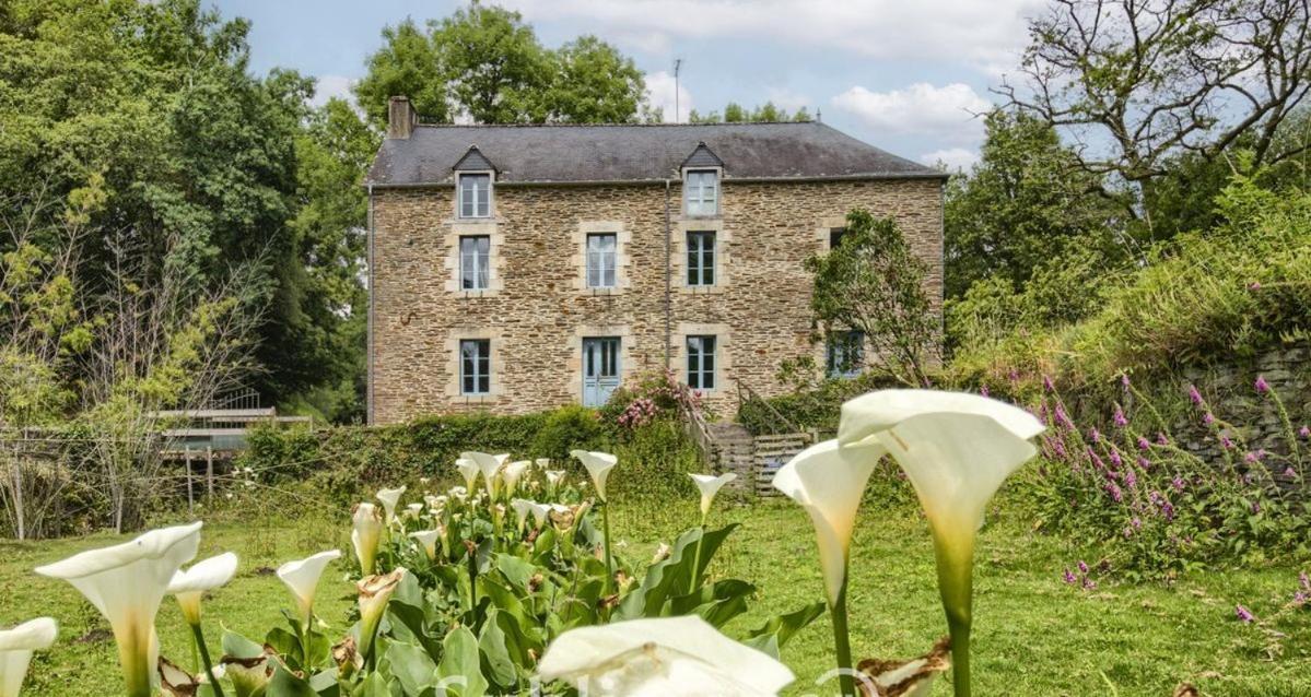 Apartamento Le Moulin De Gueuzon Rochefort-en-Terre Exterior foto