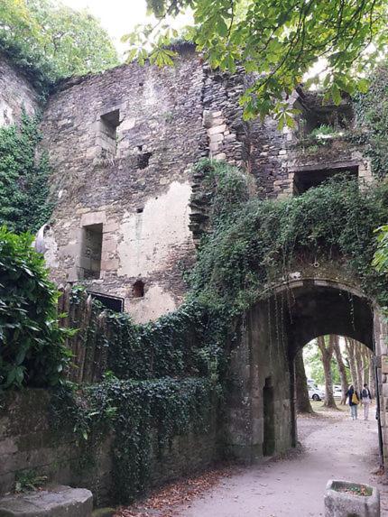 Apartamento Le Moulin De Gueuzon Rochefort-en-Terre Exterior foto